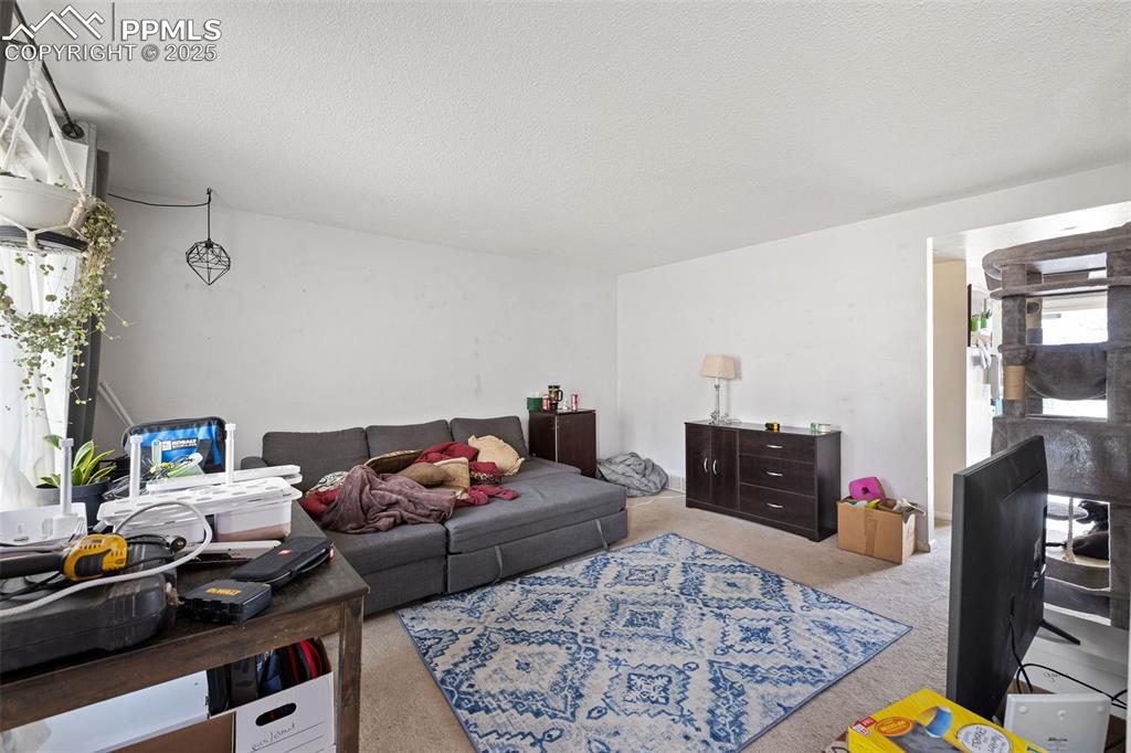 Image 4 of 18: Living Room