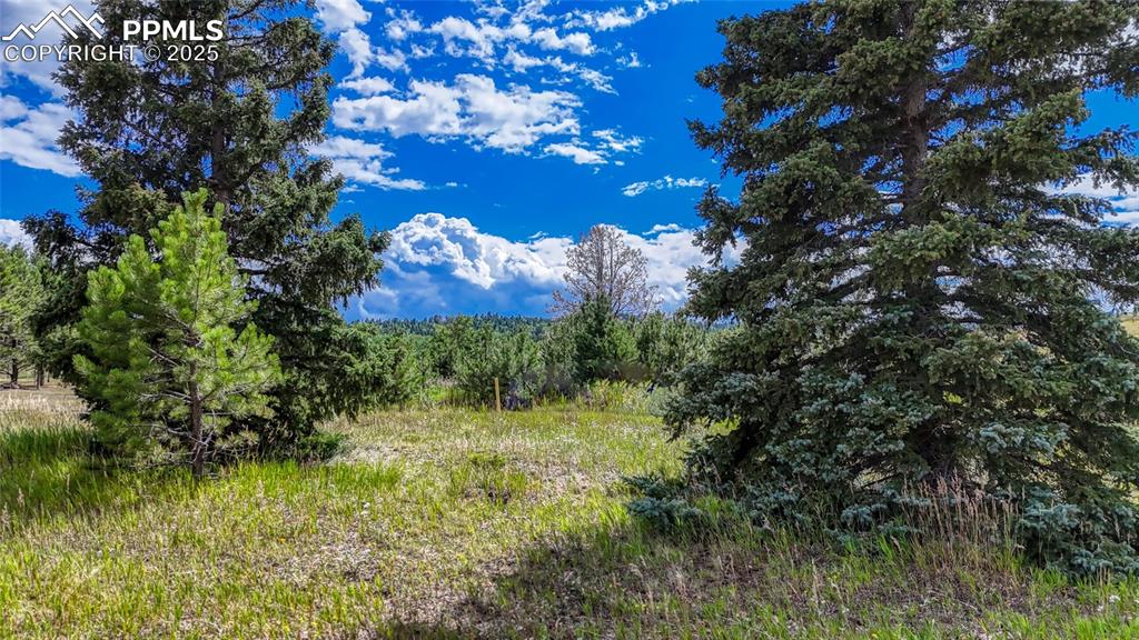 Image 9 of 20: Other