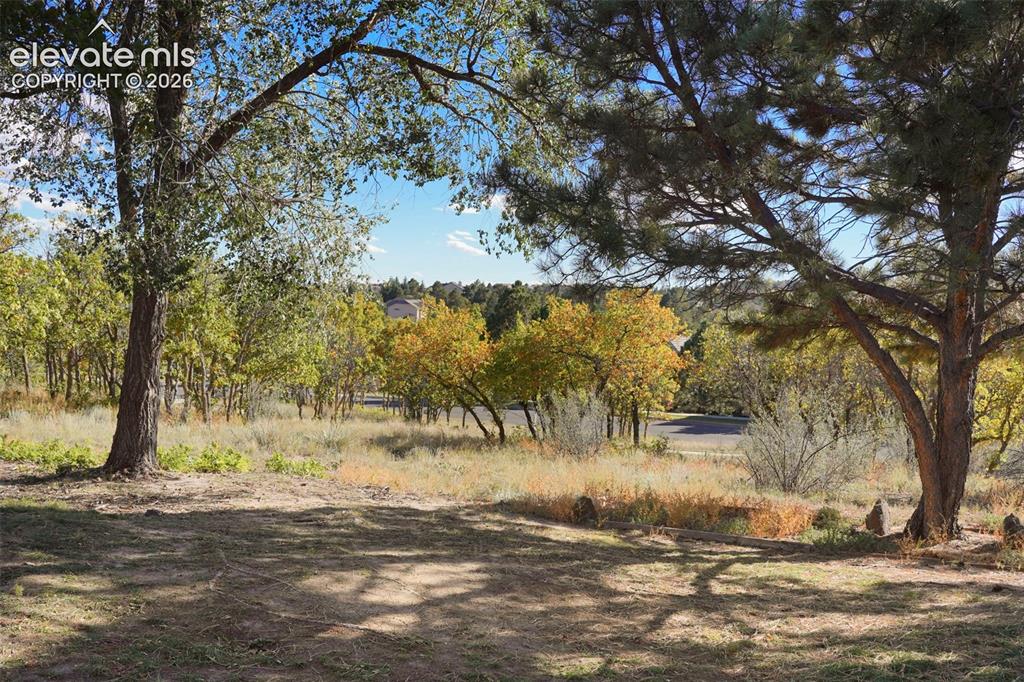 Image 24 of 28: Expansive lot featuring mature deciduous and evergreen trees, natural lands