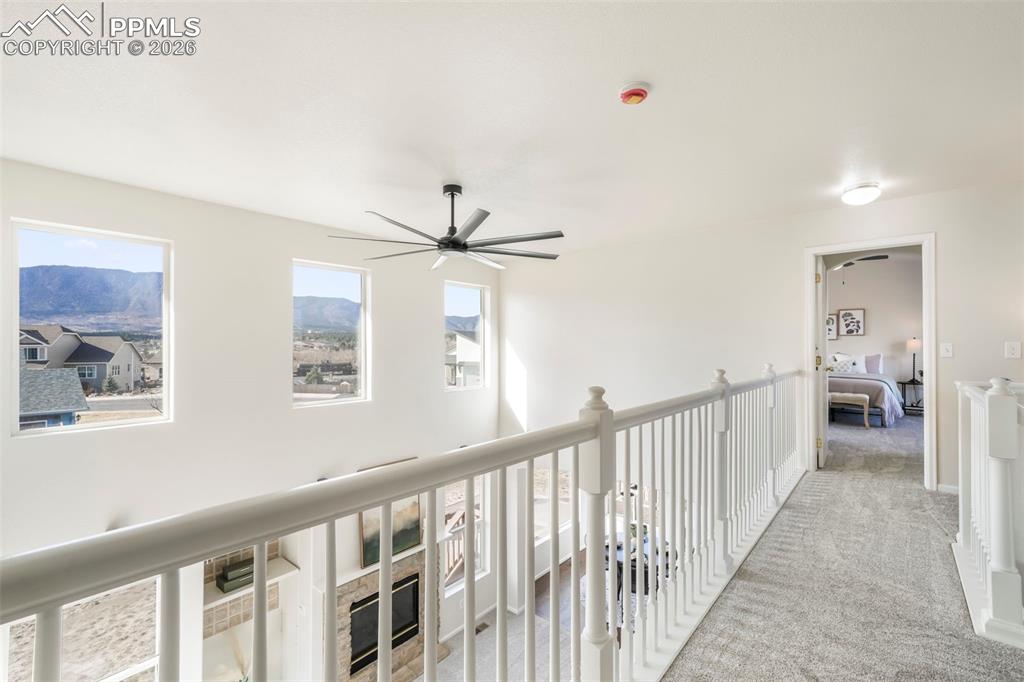 Image 19 of 47: Other