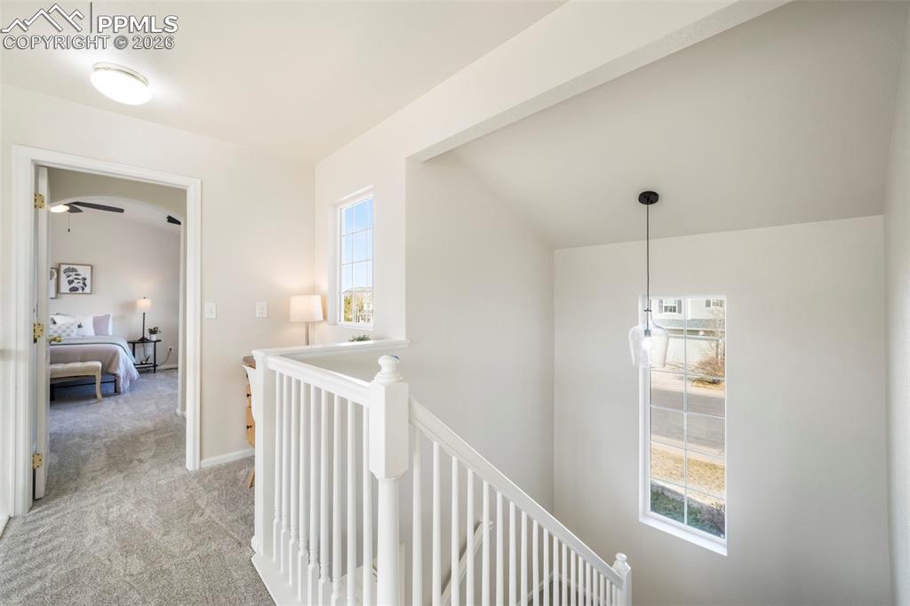 Image 20 of 47: Other