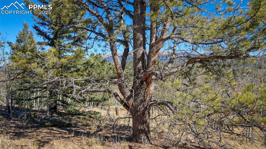 Image 10 of 40: View of nature featuring a view of trees