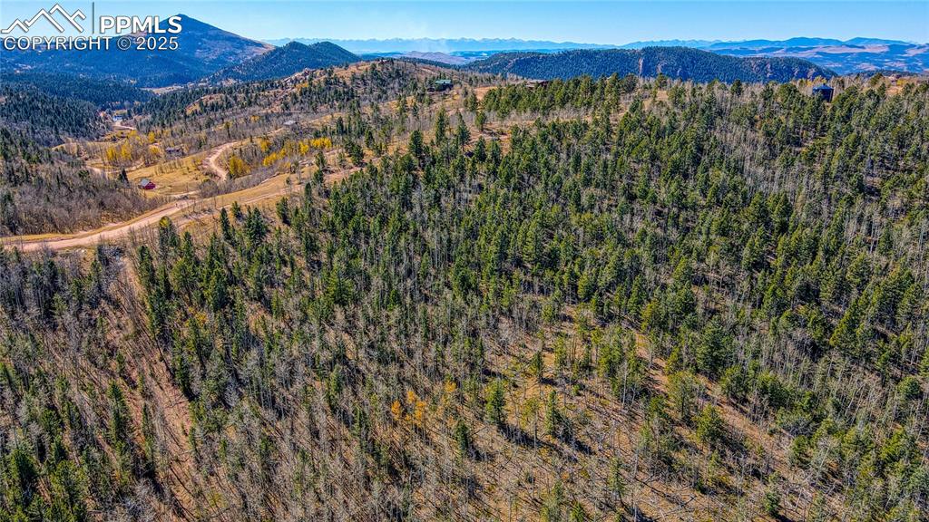 Image 13 of 40: Birds eye view of property with a mountain view and a view of trees