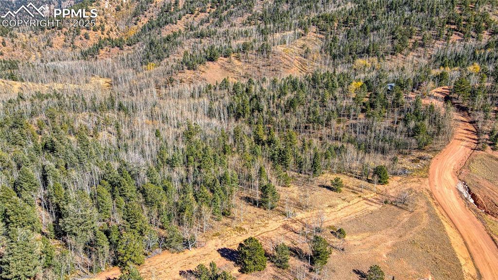 Image 14 of 40: Bird