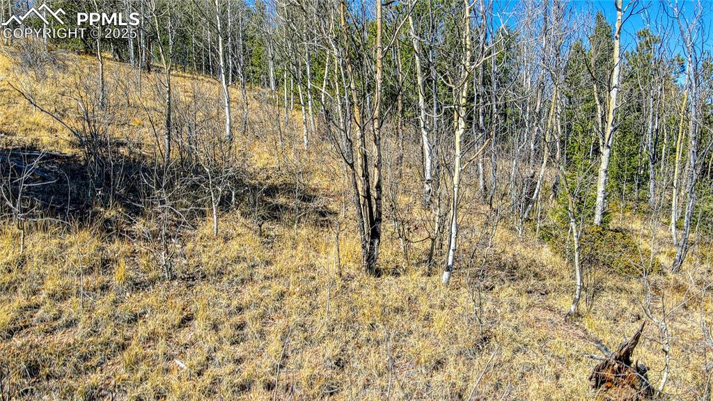 Image 16 of 40: View of nature