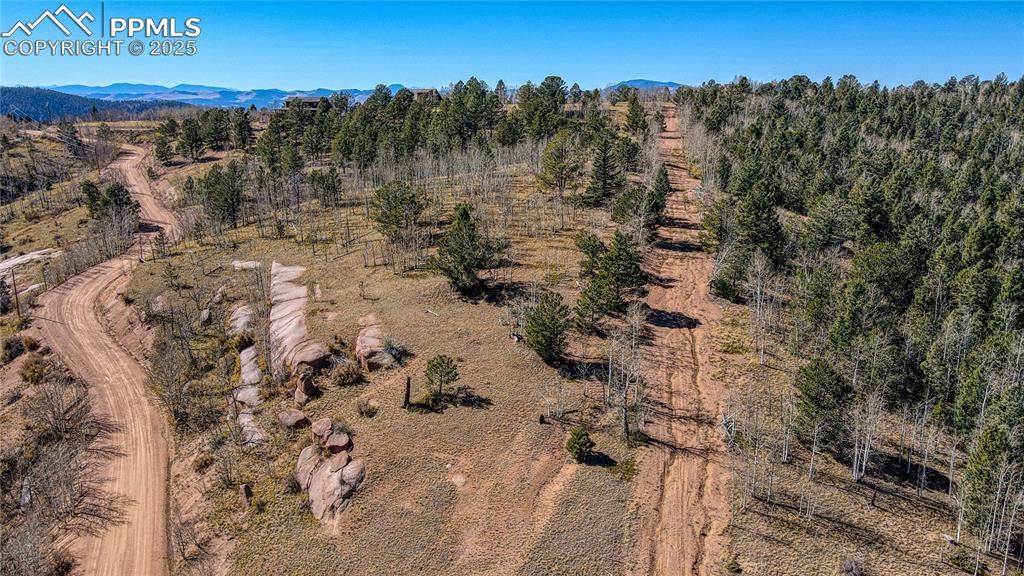 Image 21 of 40: Birds eye view of property with a mountain view