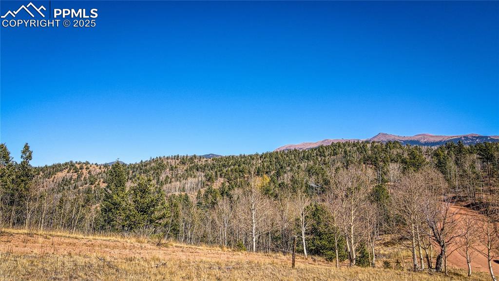 Image 22 of 40: Property view of mountains with a view of trees