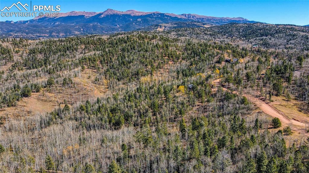 Image 24 of 40: Aerial view featuring a wooded view and a mountain view