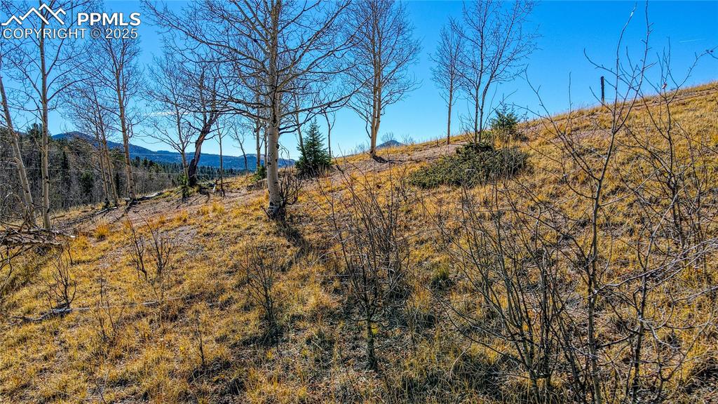 Image 3 of 40: View of local wilderness featuring a mountain view