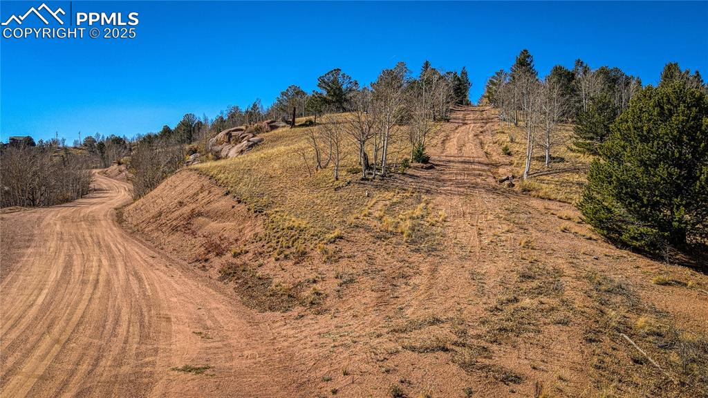 Image 30 of 40: View of local wilderness