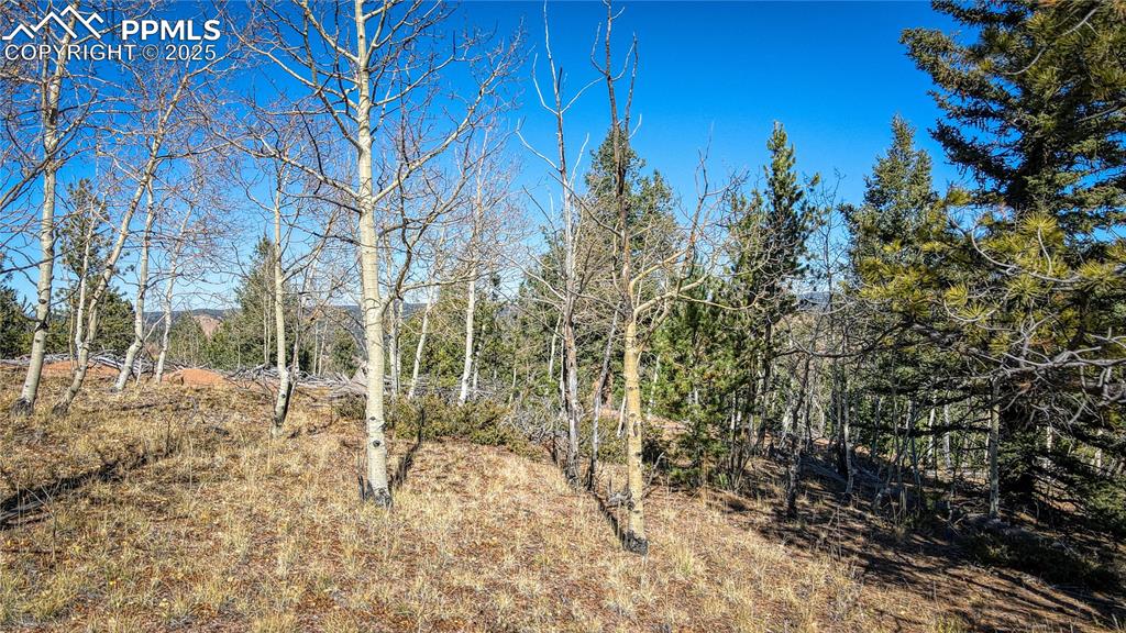 Image 31 of 40: View of landscape