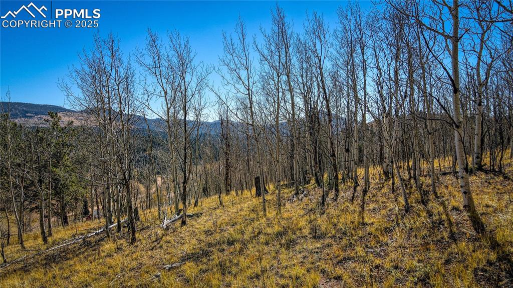 Image 32 of 40: View of local wilderness featuring a mountain view and a view of trees