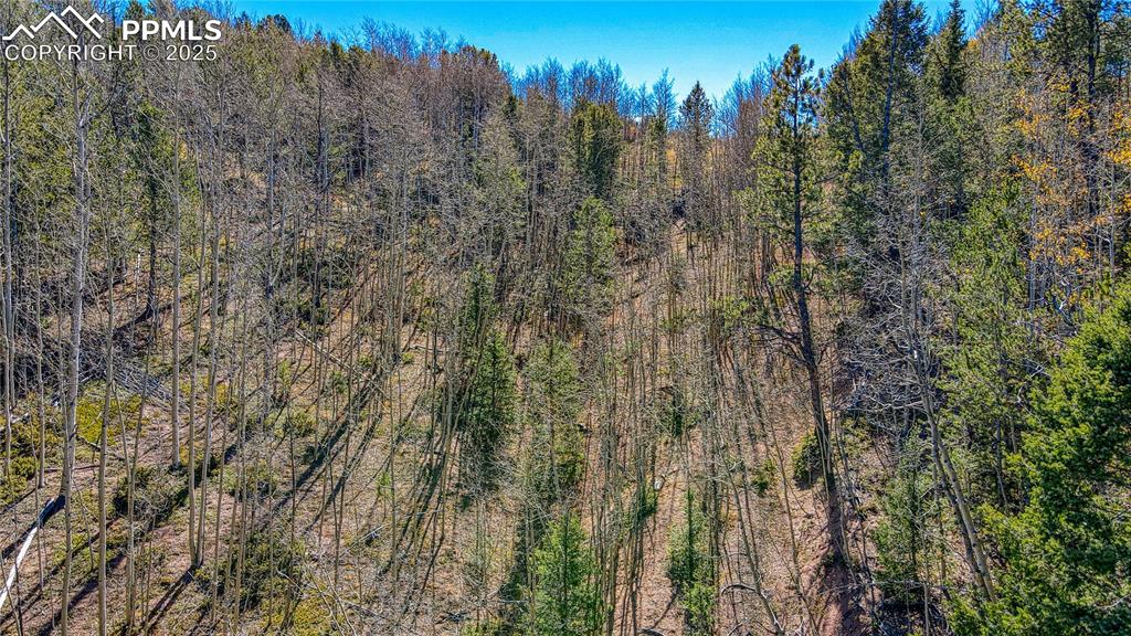 Image 35 of 40: Birds eye view of property with a forest view