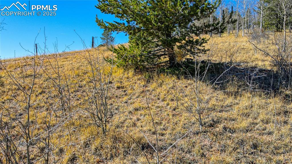 Image 36 of 40: View of landscape