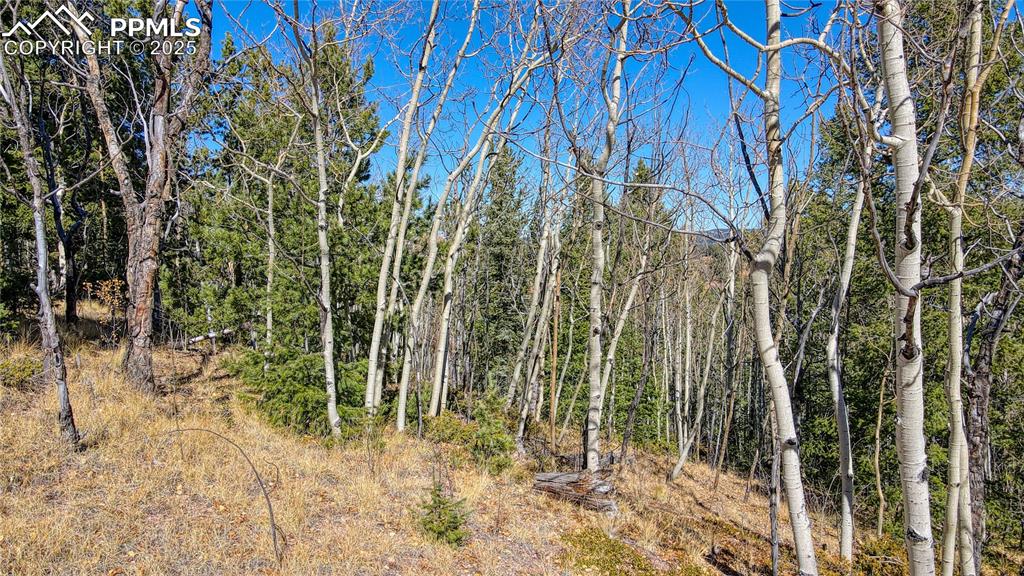Image 39 of 40: View of nature featuring a wooded view