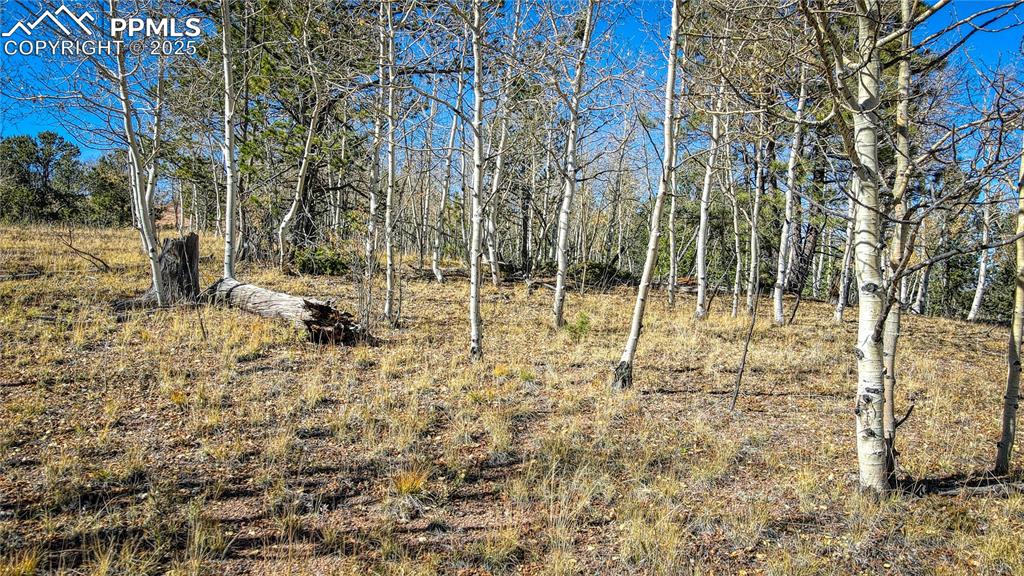 Image 5 of 40: View of nature