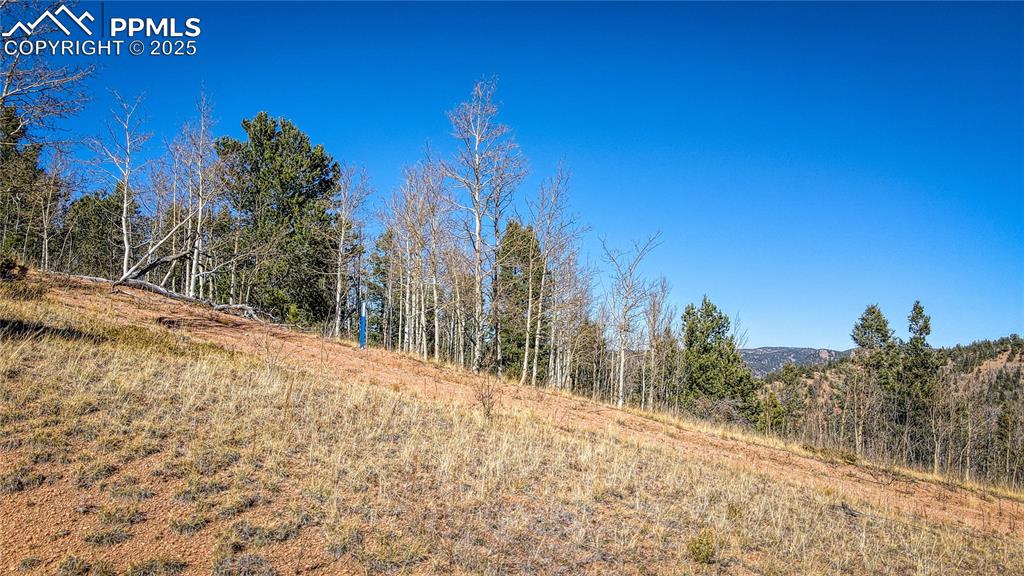 Image 7 of 40: View of nature featuring a wooded view