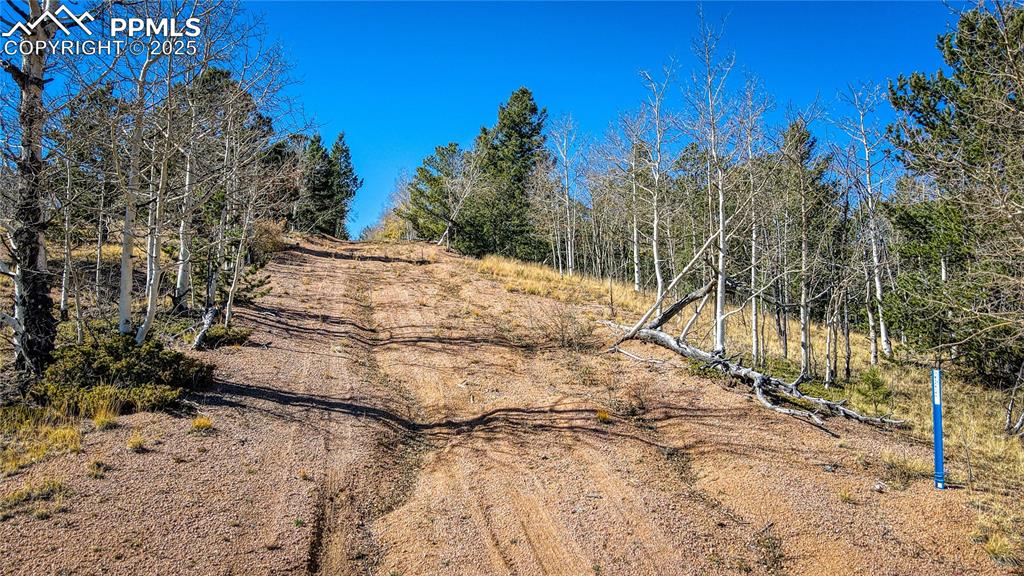 Image 8 of 40: View of local wilderness