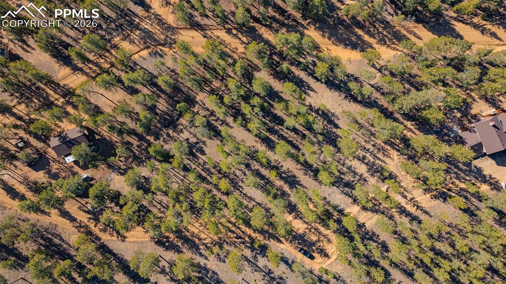 Image 10 of 16: Other