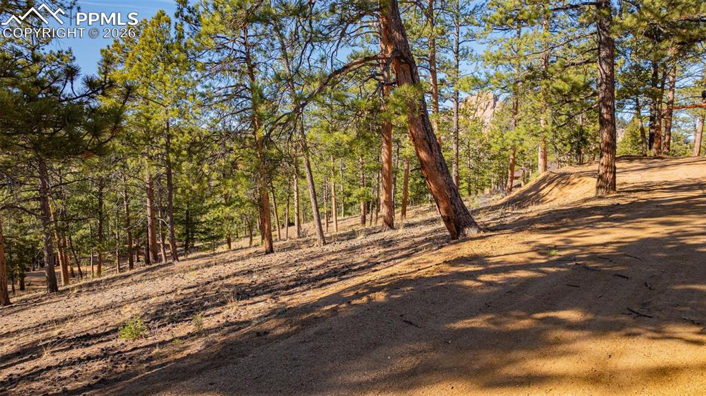 Image 14 of 16: Other