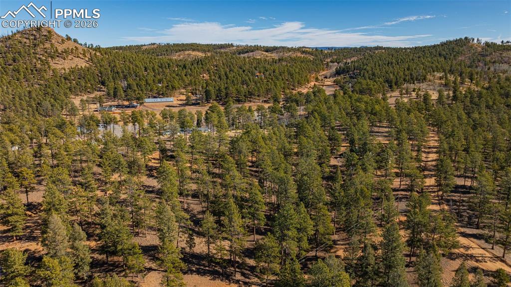 Image 6 of 16: Aerial View