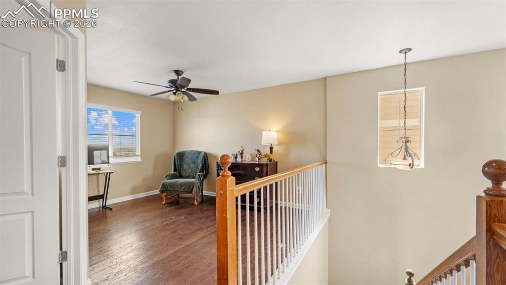 Image 16 of 42: Other