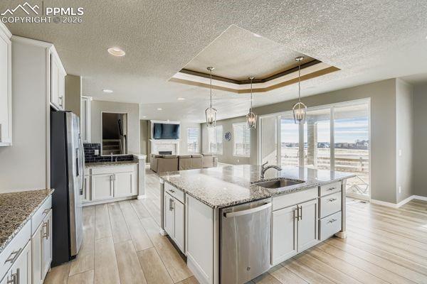 Image 11 of 35: Kitchen featuring a tray ceiling, white cabinetry, open floor plan, light s
