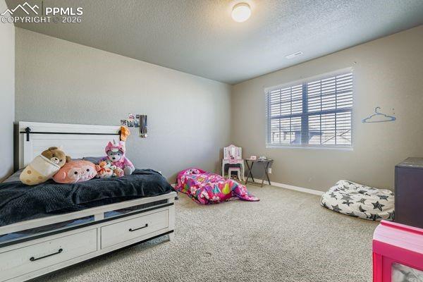 Image 28 of 35: Bedroom with carpet floors and a textured ceiling