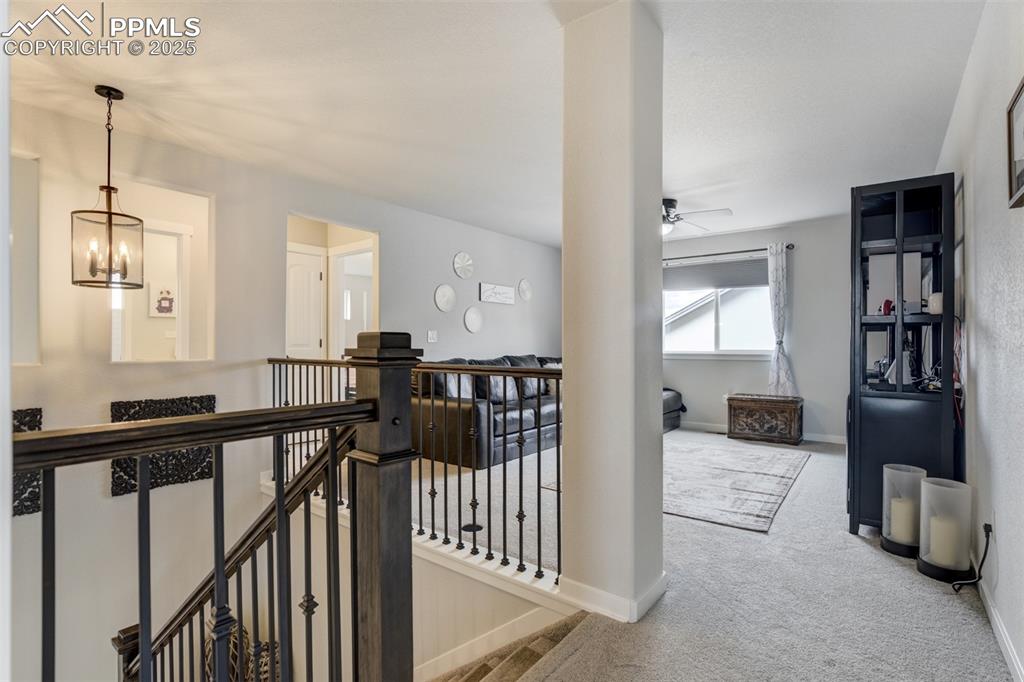 Image 16 of 49: Other