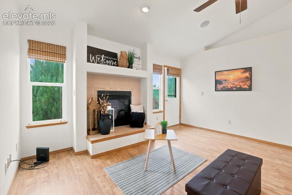 Image 14 of 50: Gas fireplace in the living room