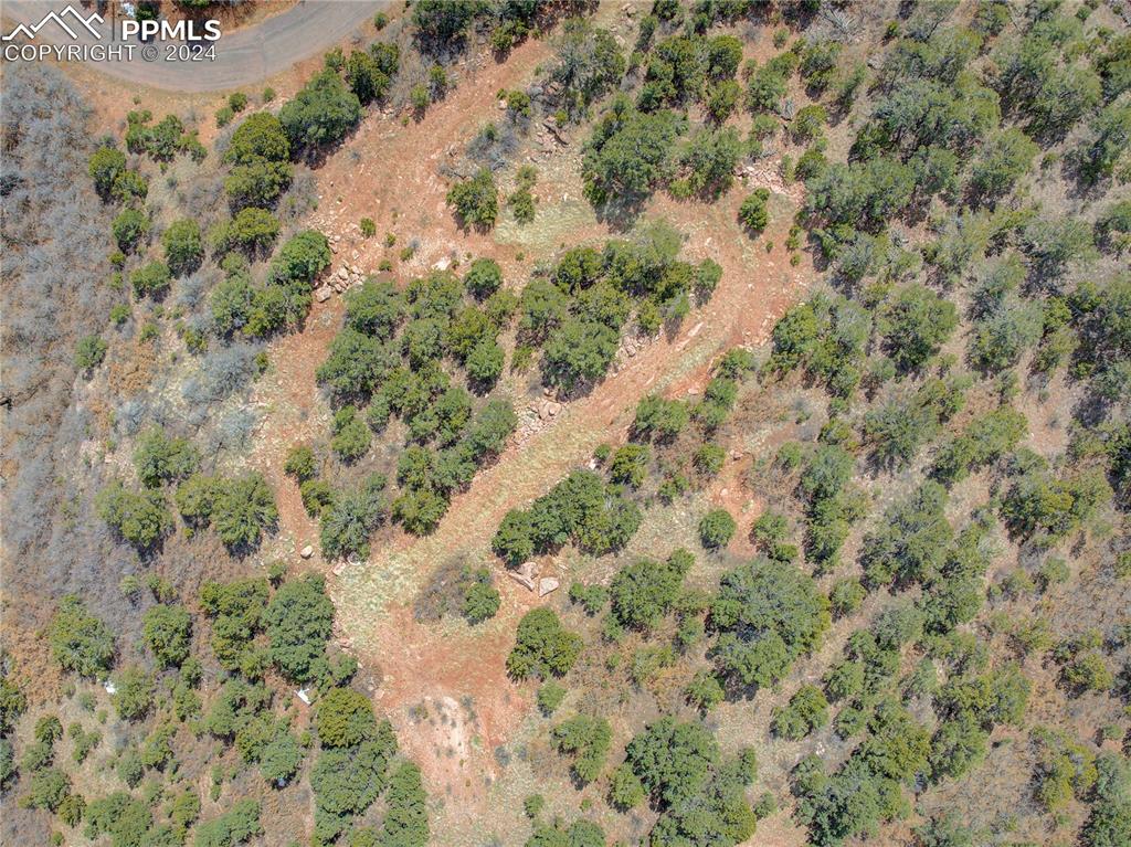 Image 12 of 21: Existing clearing at lower build site