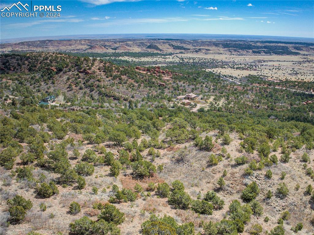 Image 17 of 21: Abundant wildlife