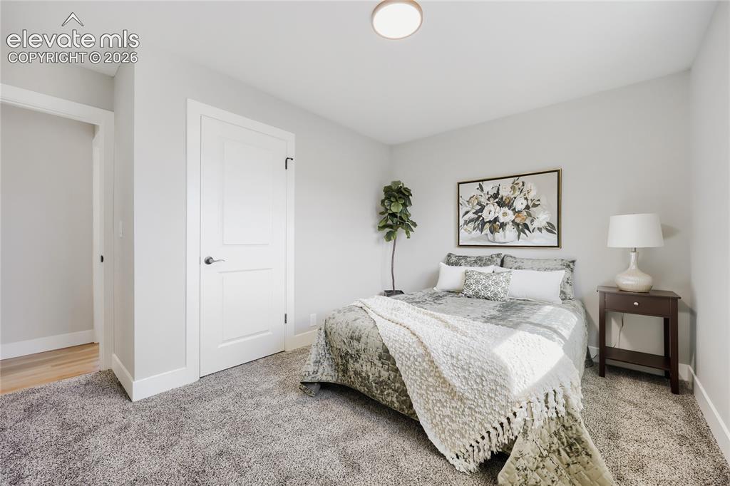 Image 16 of 42: Plush carpet flooring, neutral painted walls, and a contemporary ceiling li
