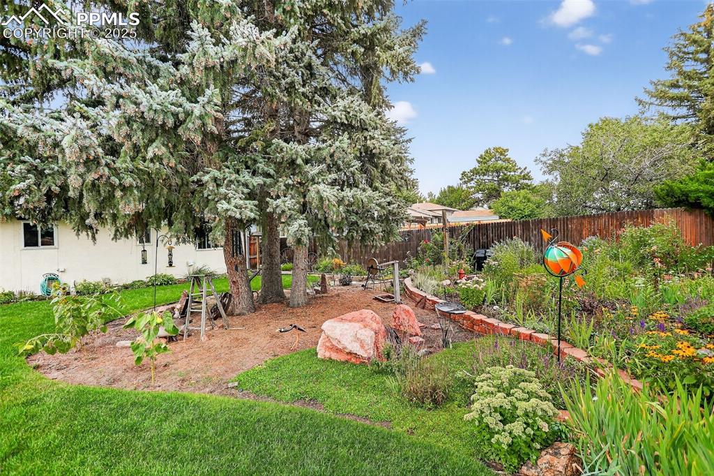 Image 41 of 47: Yard