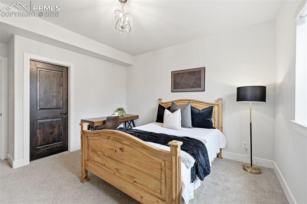 Image 34 of 39: Plush carpeted room featuring a dark wood-finish two-panel door, white trim