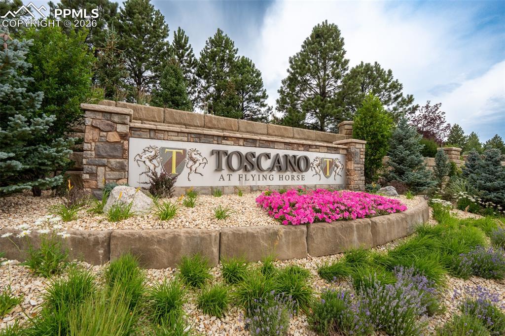 Image 48 of 50: Community