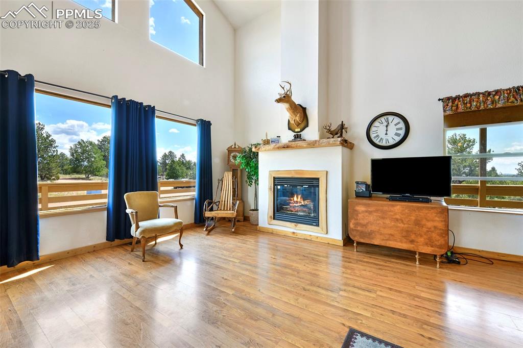 Image 15 of 48: Main Level Great Room With Gas Fireplace 