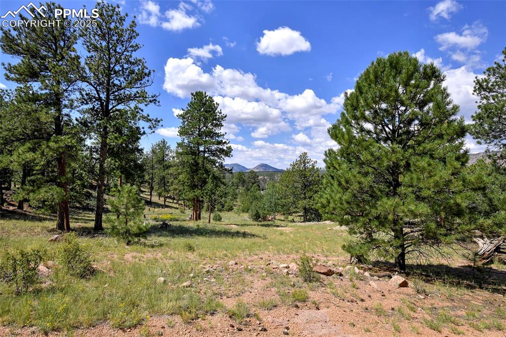 Image 8 of 48: Wonderful, Relaxing View 