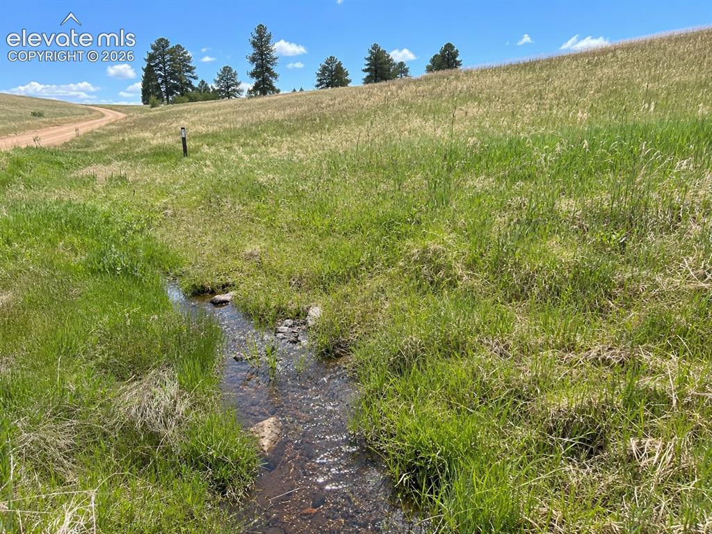 Image 12 of 43: Hard Scrabble Creek Flowing