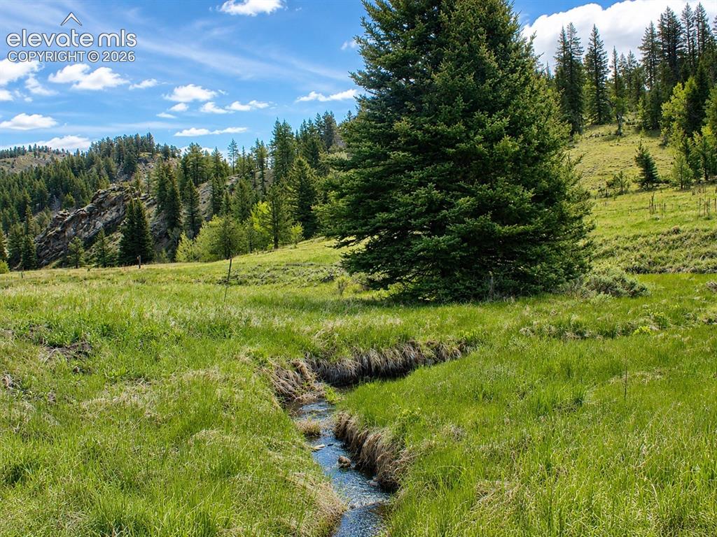 Image 13 of 43: Hard Scrabble Creek Flowing