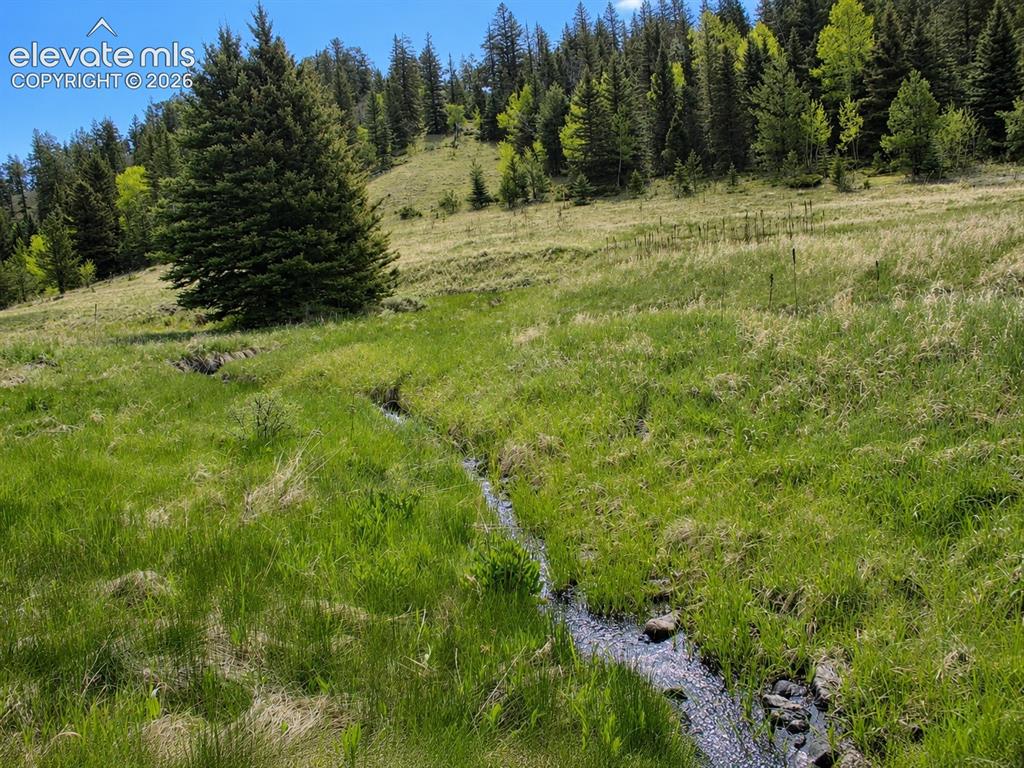 Image 14 of 43: Hard Scrabble Creek Flowing