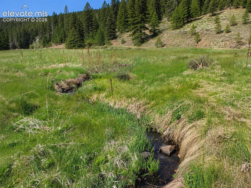 Image 15 of 43: Hard Scrabble Creek Flowing