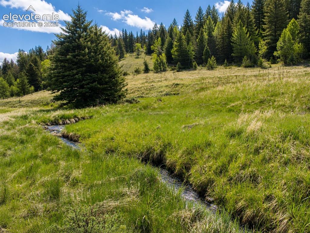 Image 17 of 43: Hard Scrabble Creek Flowing