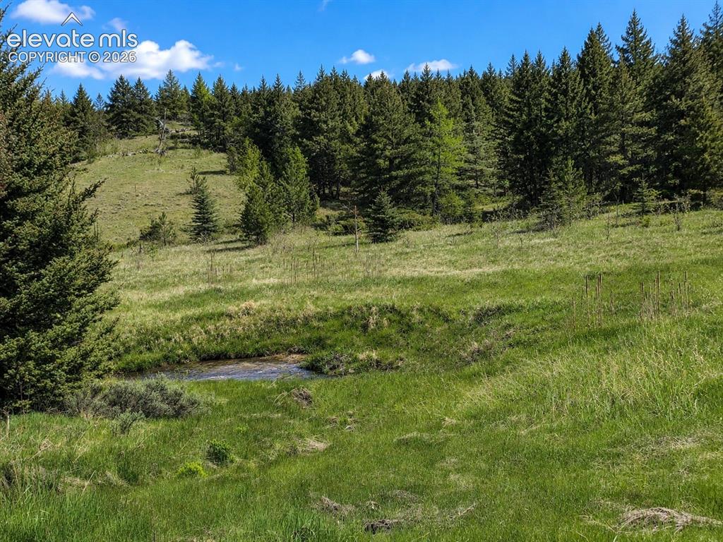 Image 18 of 43: Hard Scrabble Creek Flowing