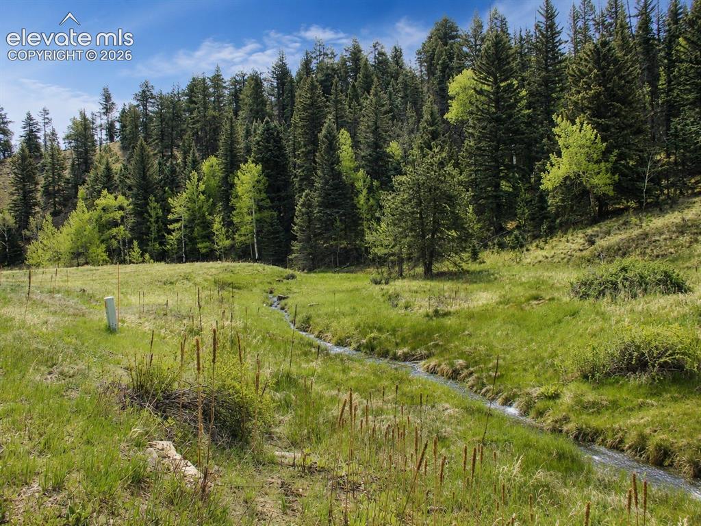 Image 19 of 43: Hard Scrabble Creek Flowing