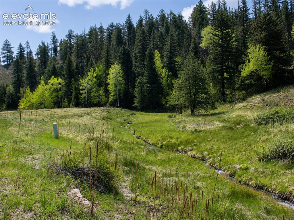 Image 21 of 43: Hard Scrabble Creek Flowing