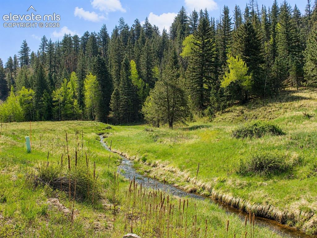 Image 22 of 43: Hard Scrabble Creek Flowing