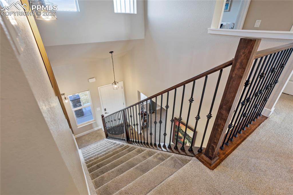 Image 20 of 50: Other