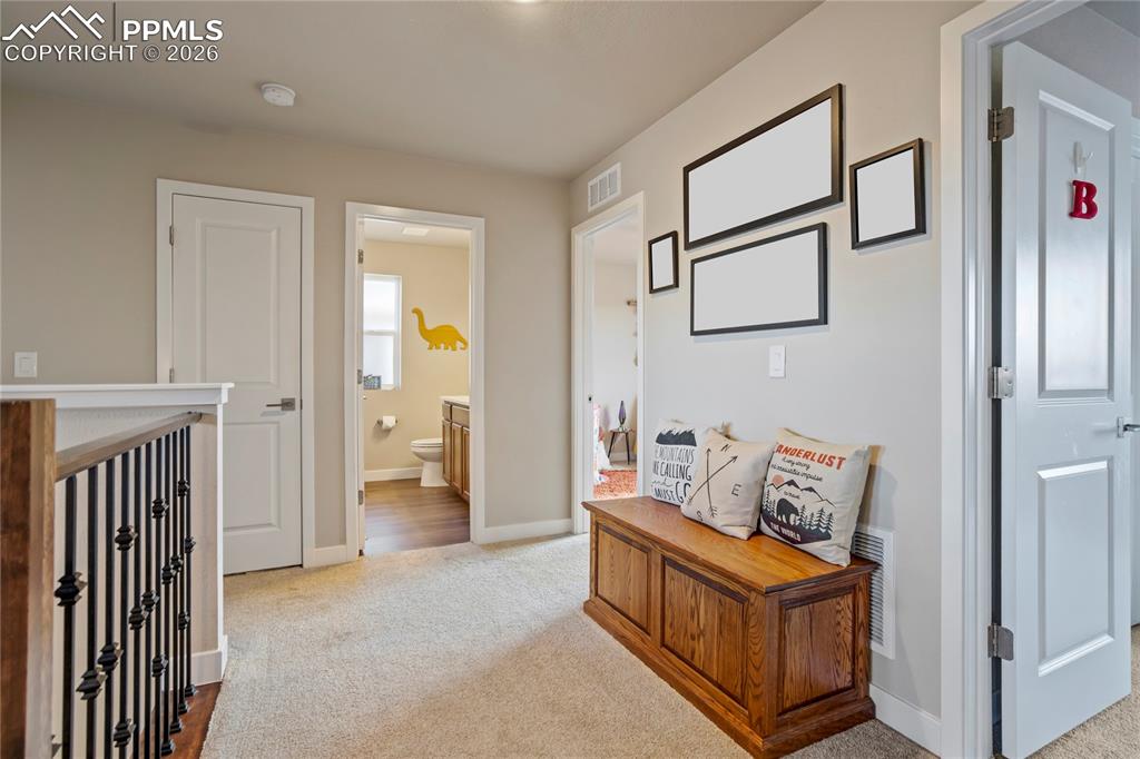 Image 25 of 50: Other