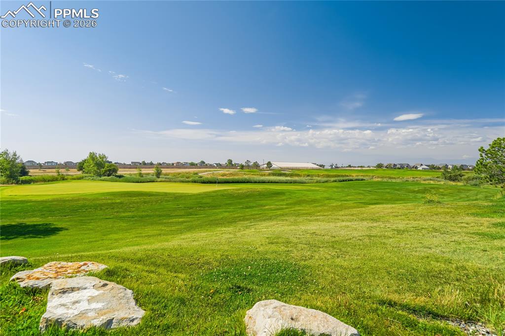 Image 48 of 50: Yard